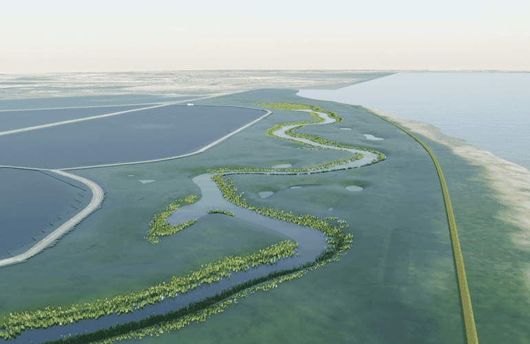 Digitaal Natuur Bouwen: Online Webinar