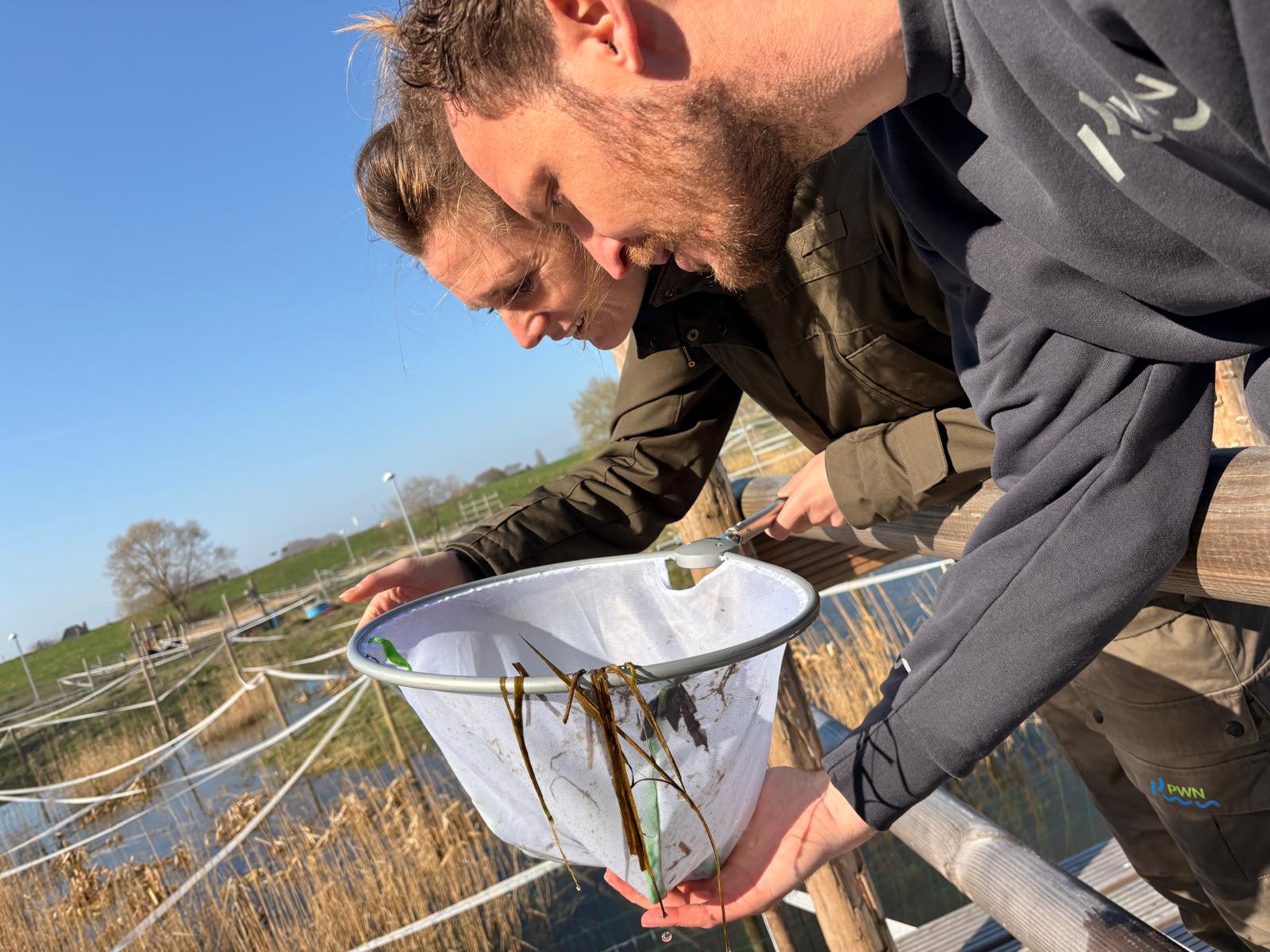 Mee(r)Makers doen veldonderzoek bij het IJsselmeer